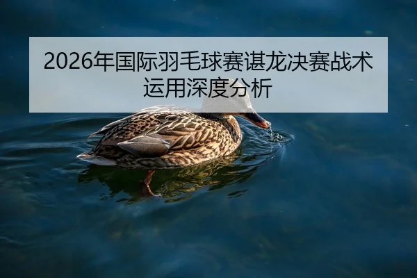 2026年国际羽毛球赛谌龙决赛战术运用深度分析