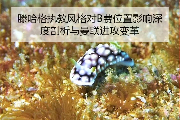 滕哈格执教风格对B费位置影响深度剖析与曼联进攻变革