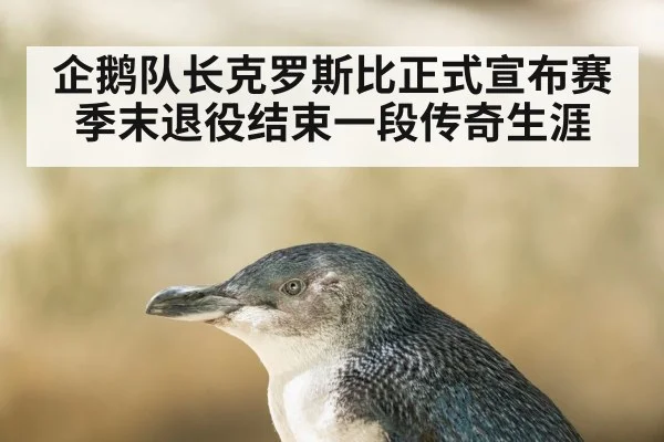 企鹅队长克罗斯比正式宣布赛季末退役结束一段传奇生涯