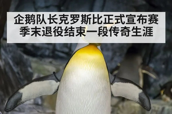 企鹅队长克罗斯比正式宣布赛季末退役结束一段传奇生涯